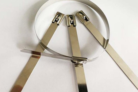 2023年國內不銹鋼扎帶的發展現狀